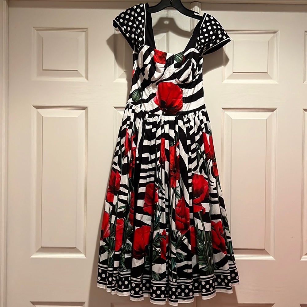Dolce & Gabbana poppy amp zebra Print flare dress